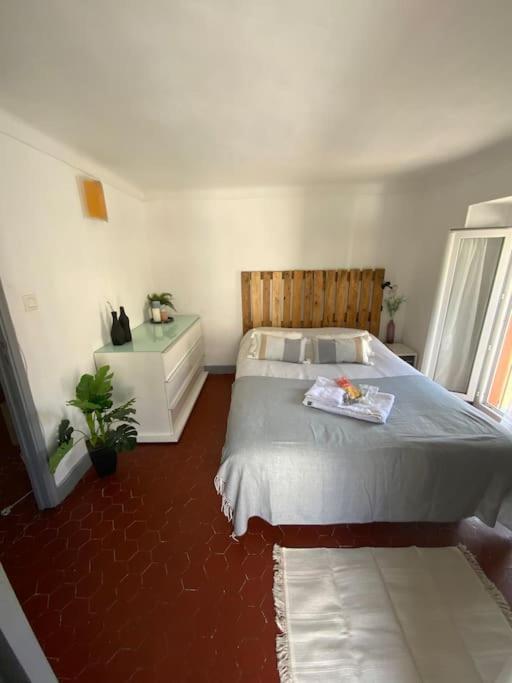 Appartement typique Niçois en plein centre ville Nice Extérieur photo